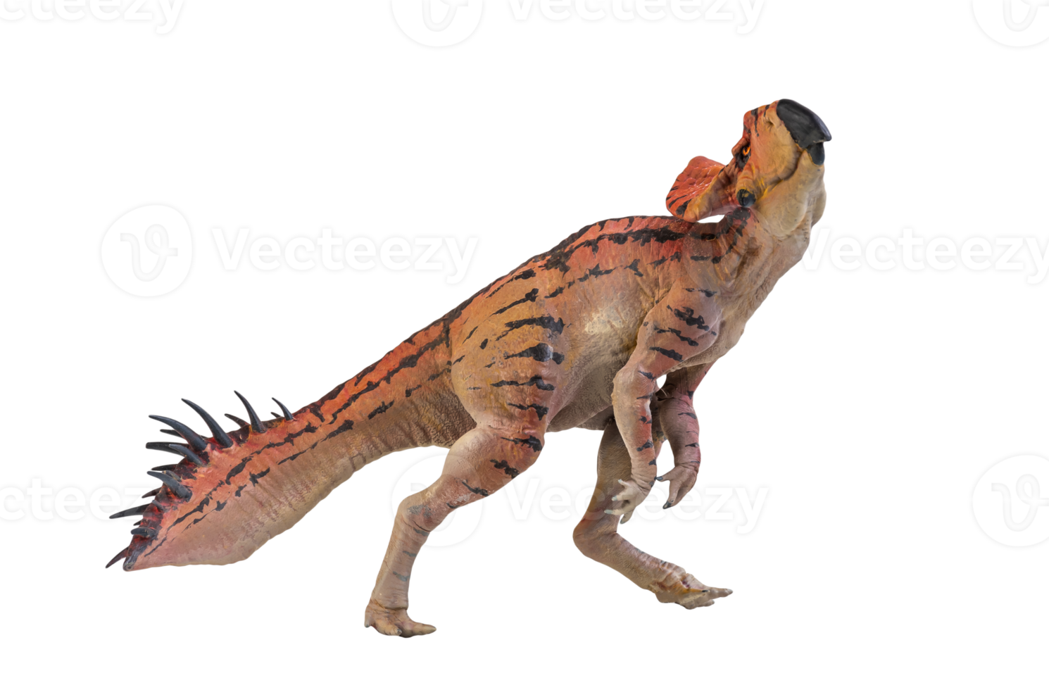 Protoceratops  , dinosaur on  isolated background png