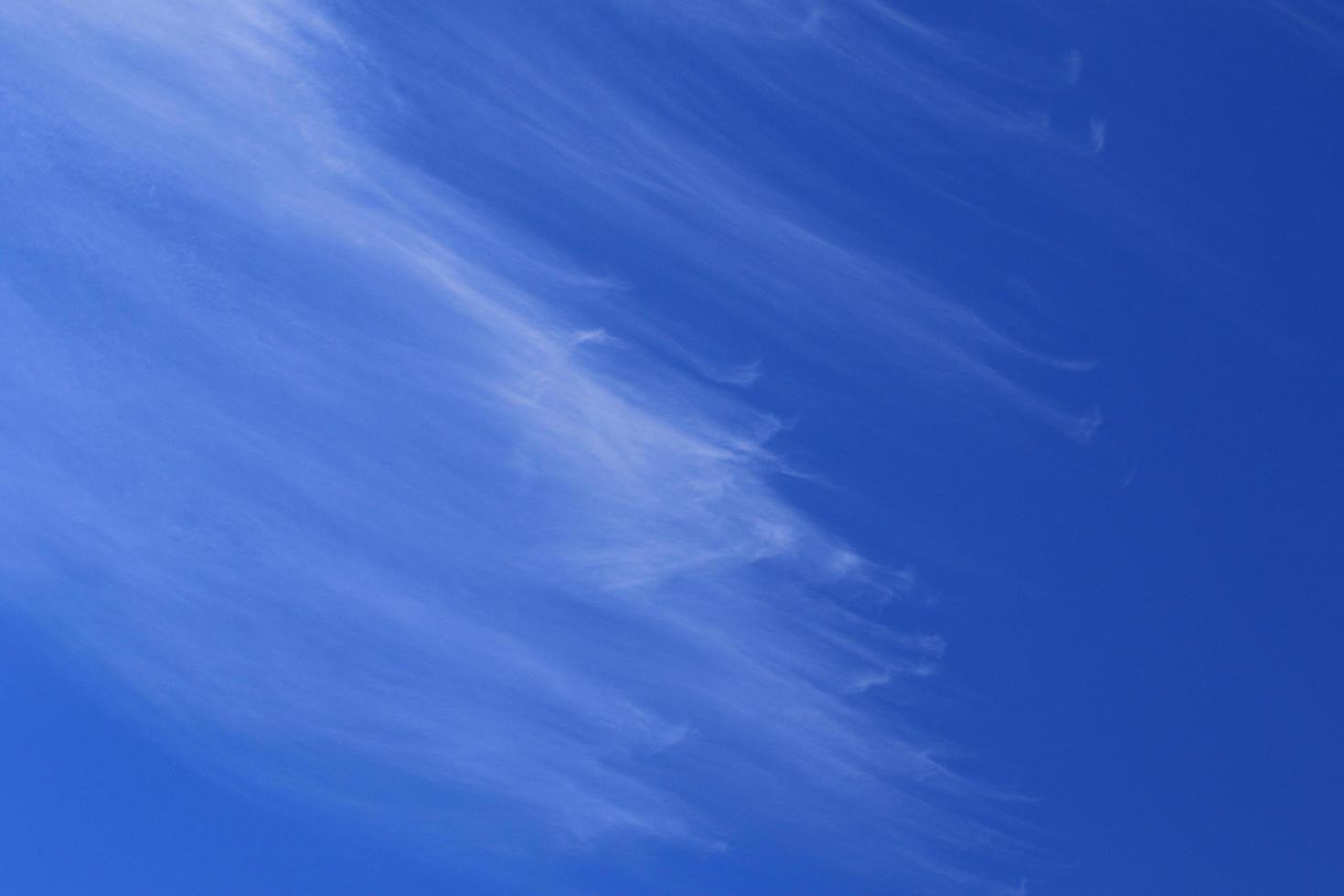 Clear blue sky and white clouds photo