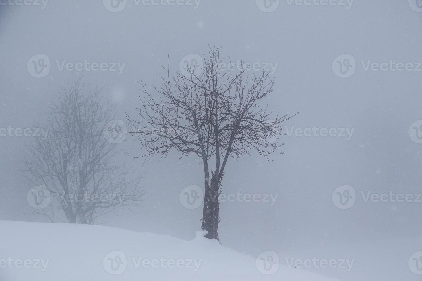 winter landscape in Austrian Alps photo