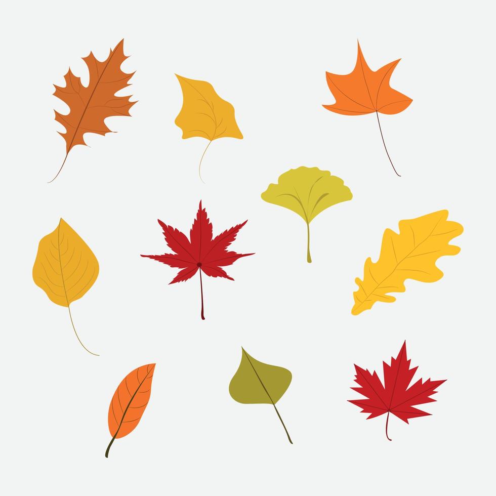 Leaf Leaves Vector Pack