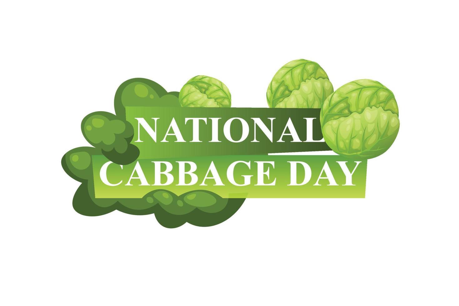 National Cabbage Day background. vector