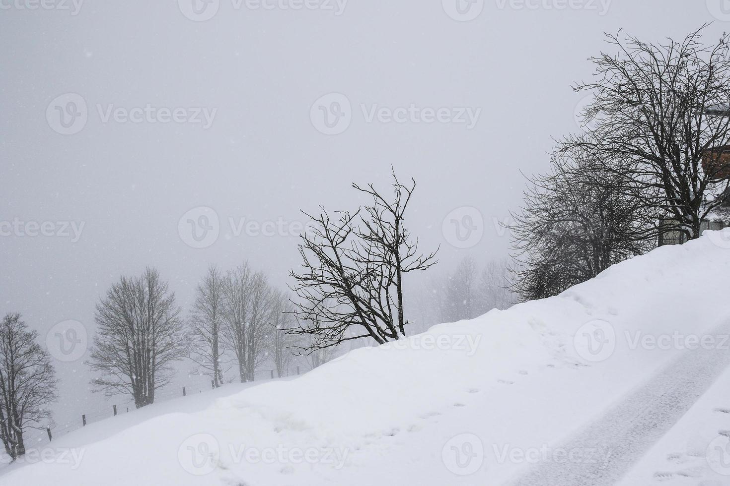 winter landscape in Austrian Alps photo