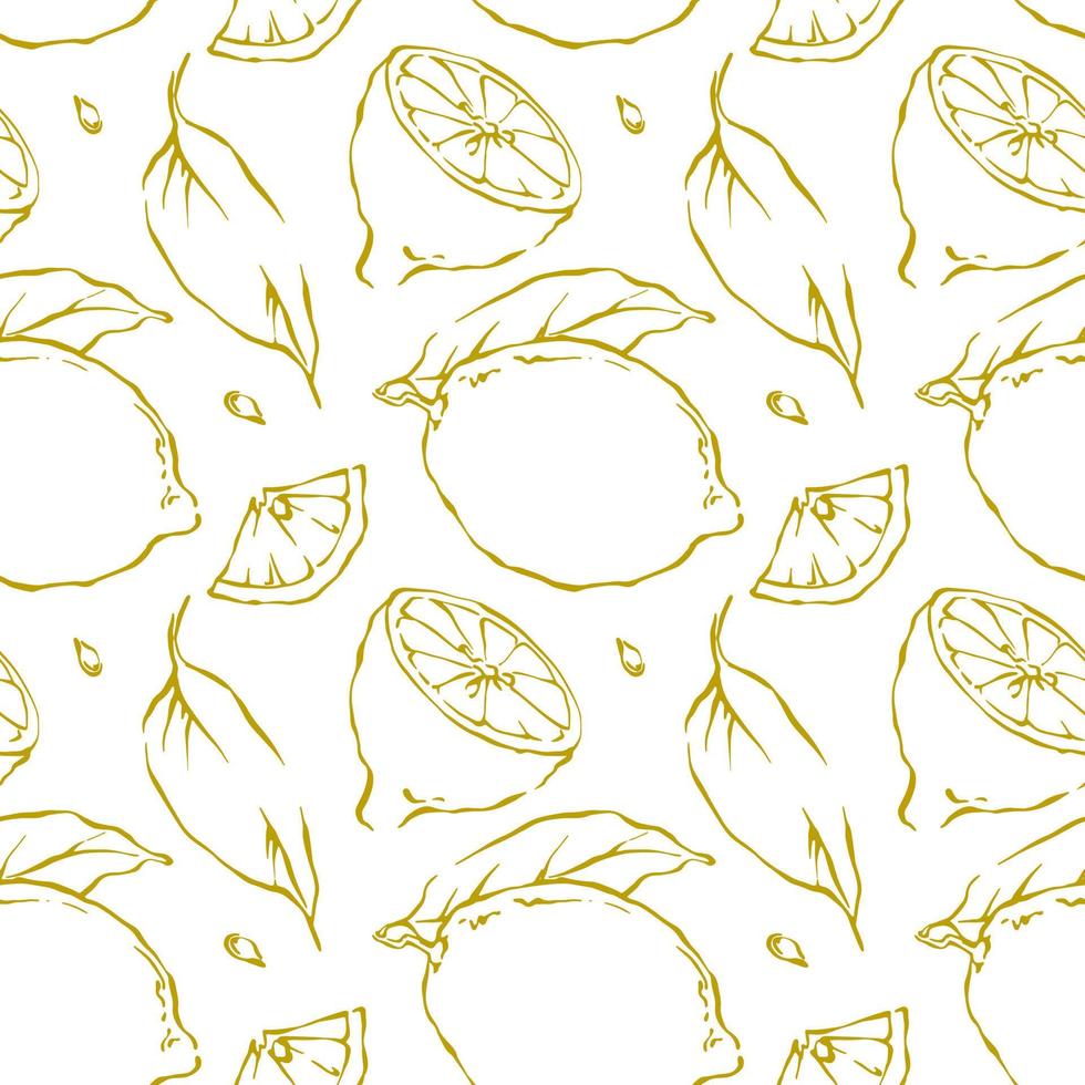 Hand drawn outline lemon seamless pattern on white background vector