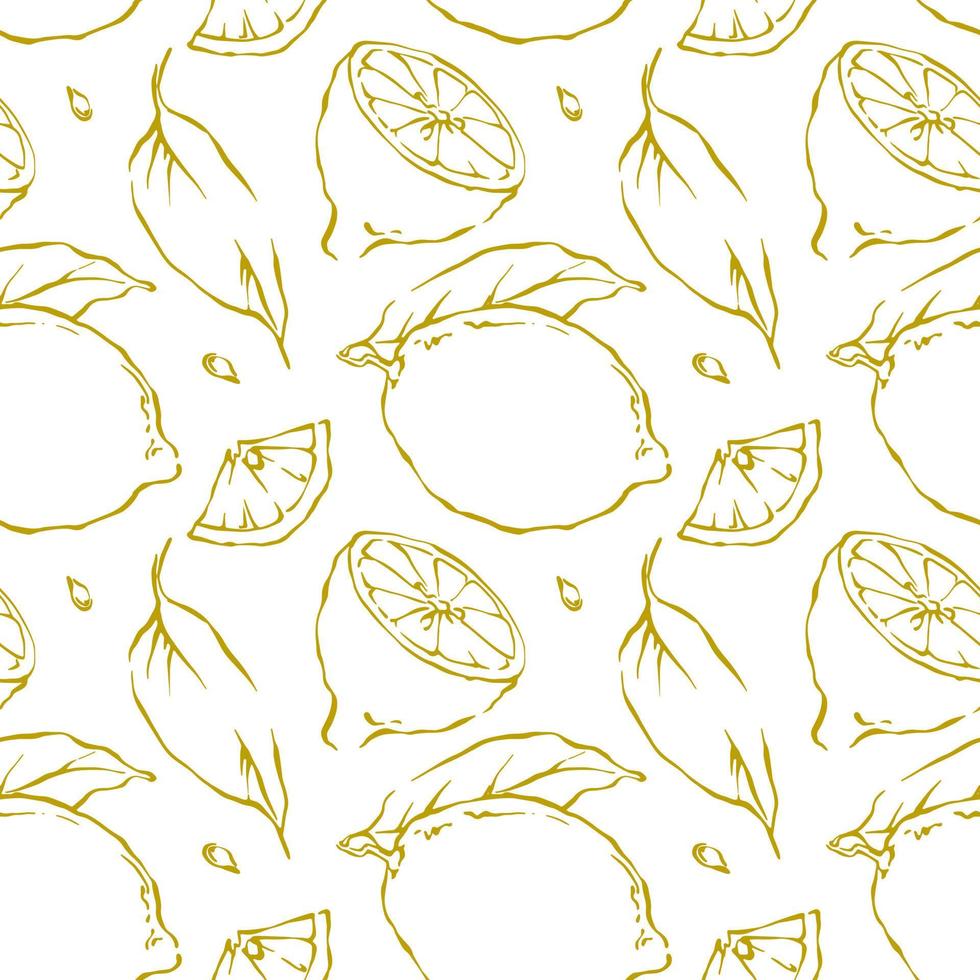 Hand drawn outline lemon seamless pattern on white background vector