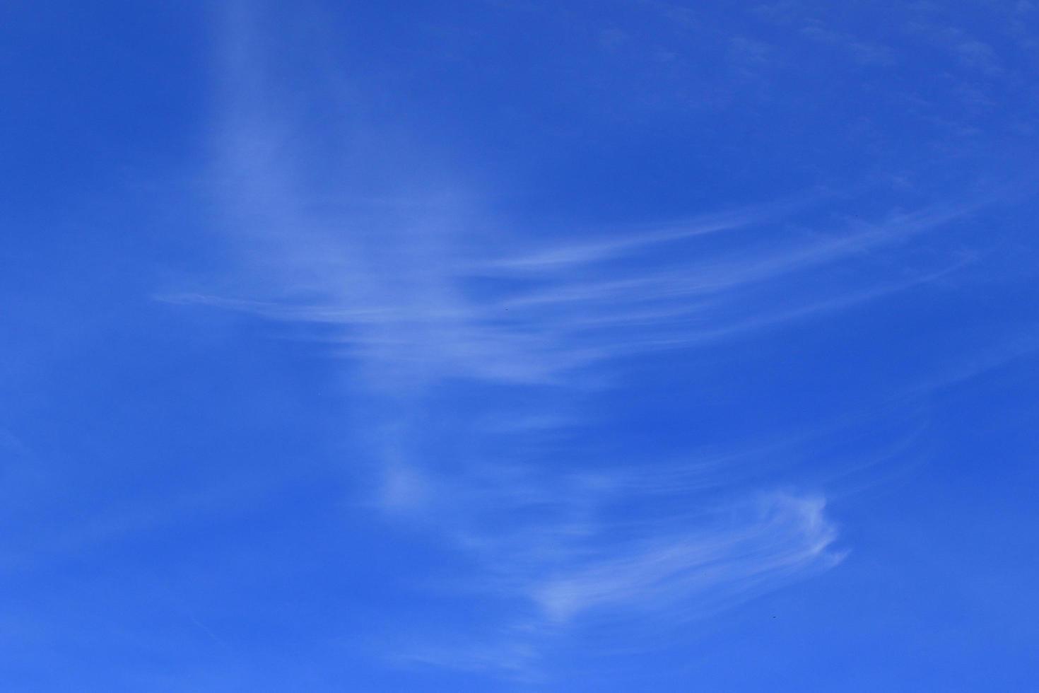 Clear blue sky and white clouds photo