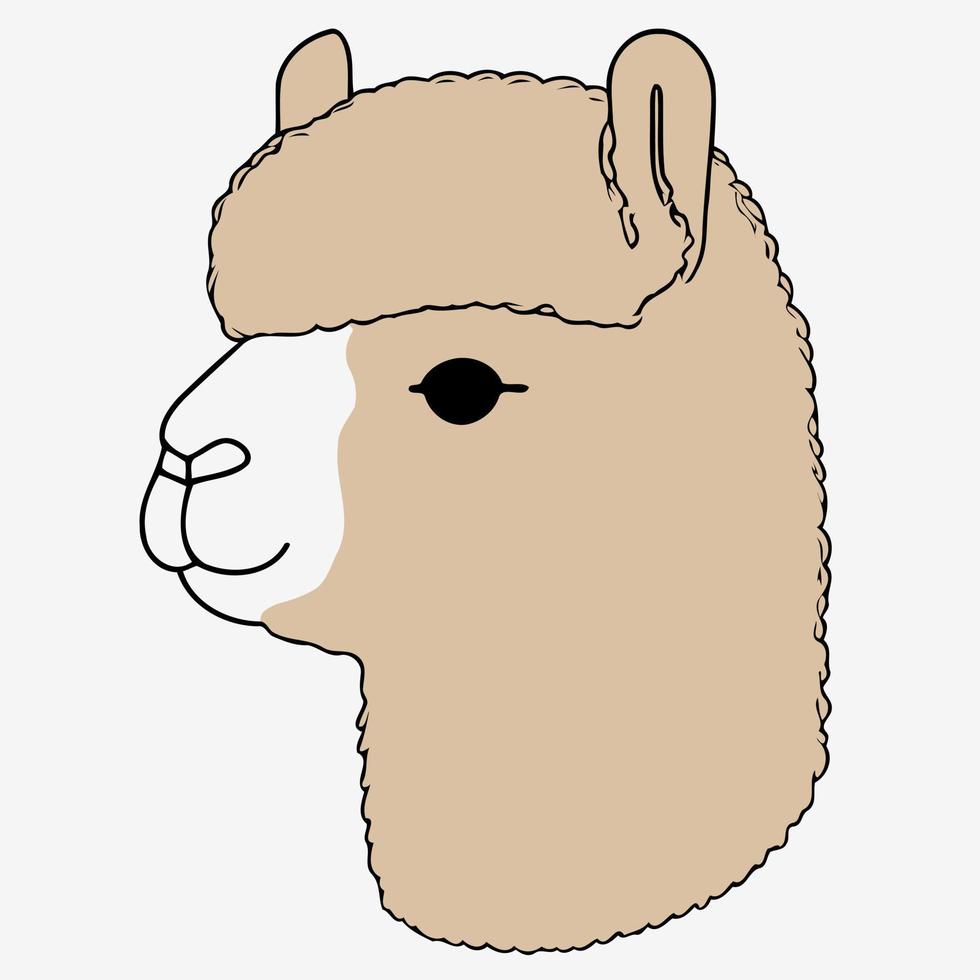 cabeza de animal camélido llamado alpaca vector