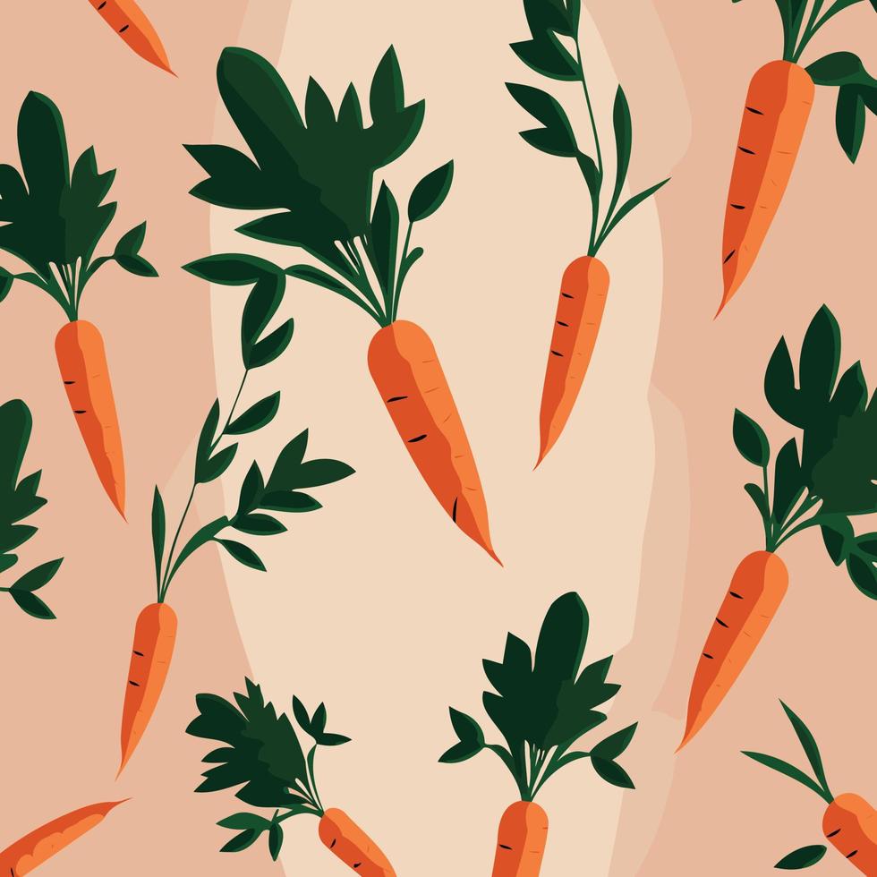 root vegetable carrots orange colo vector