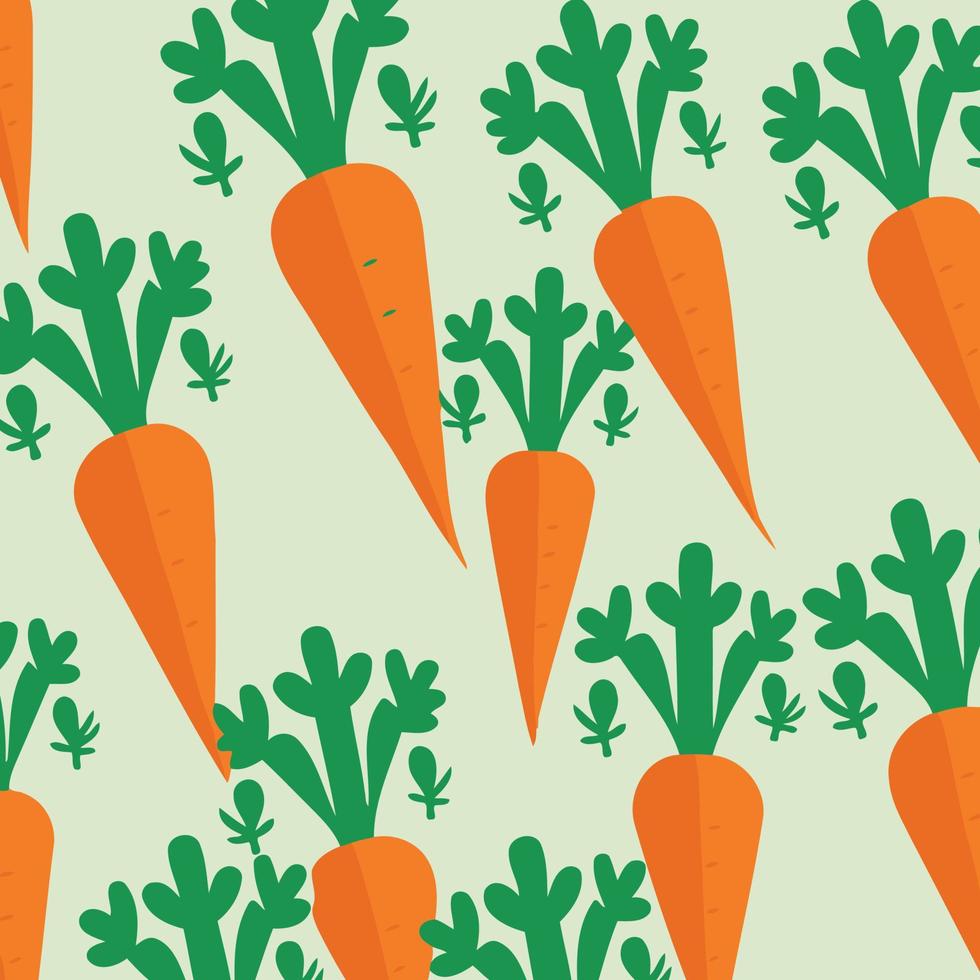root vegetable carrots orange colo vector