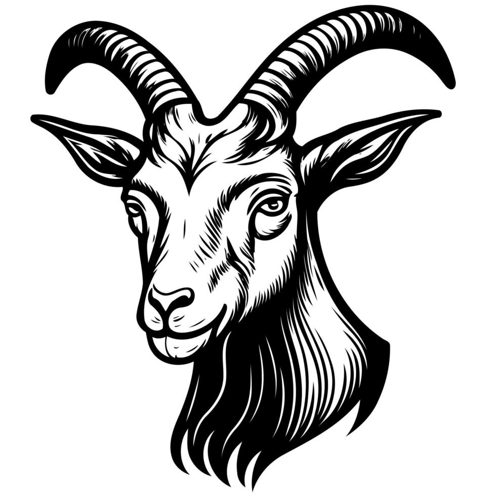 animal head domestic goat vector