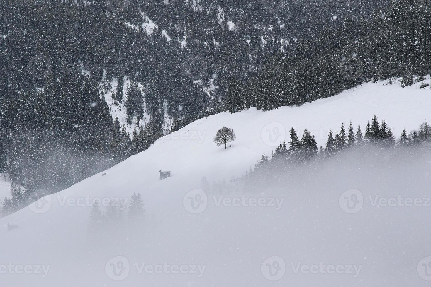 winter landscape in Austrian Alps photo