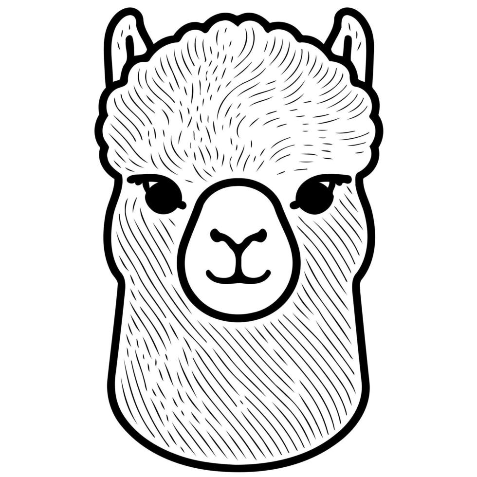 cabeza de animal camélido llamado alpaca vector