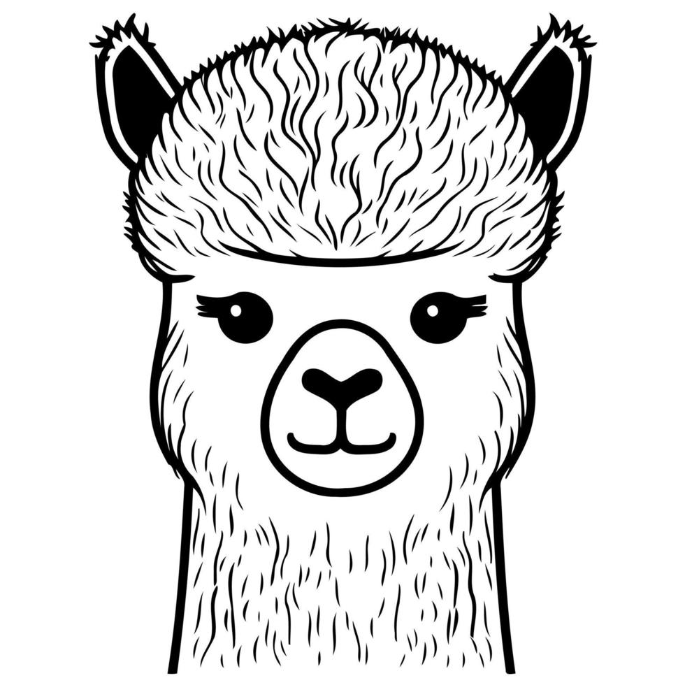 cabeza de animal camélido llamado alpaca vector