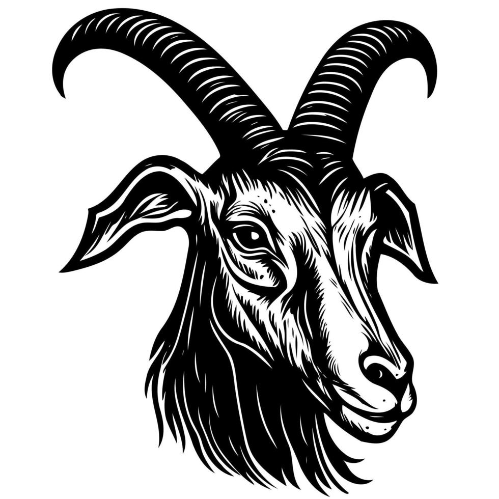animal head domestic goat vector