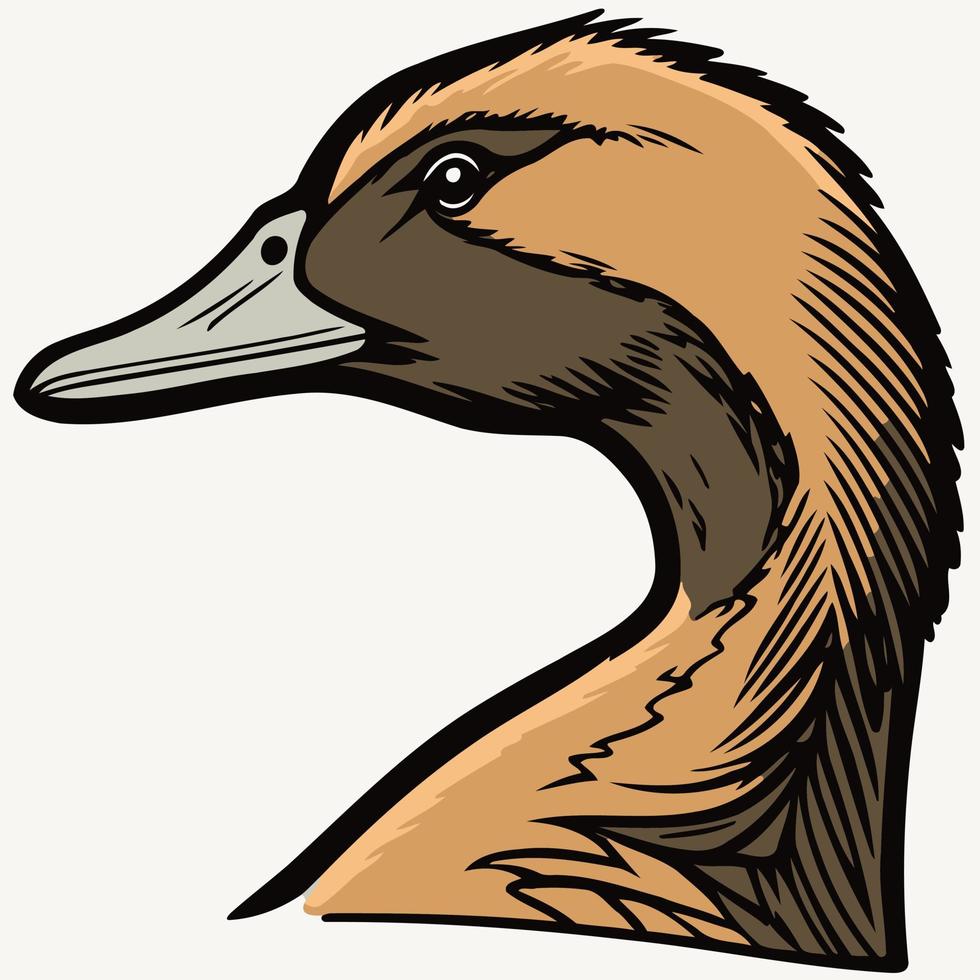 animal head goose a waterfowl bird vector