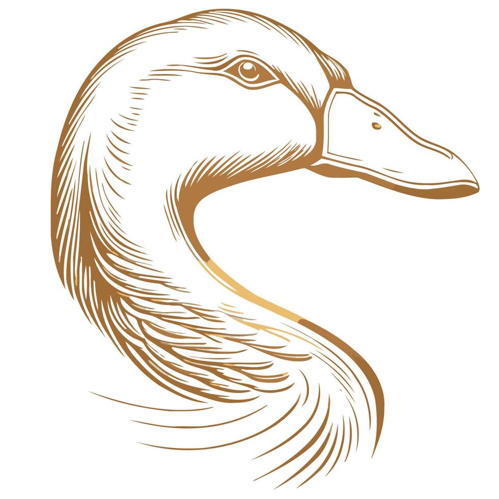 animal head goose a waterfowl bird vector