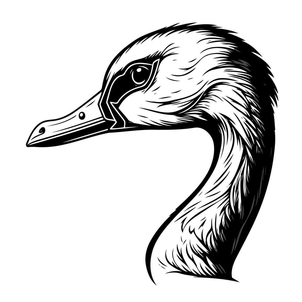 animal head goose a waterfowl bird vector