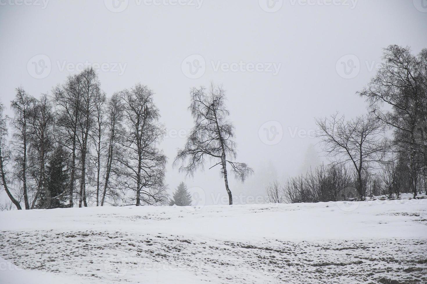 paisaje invernal en los alpes austríacos foto