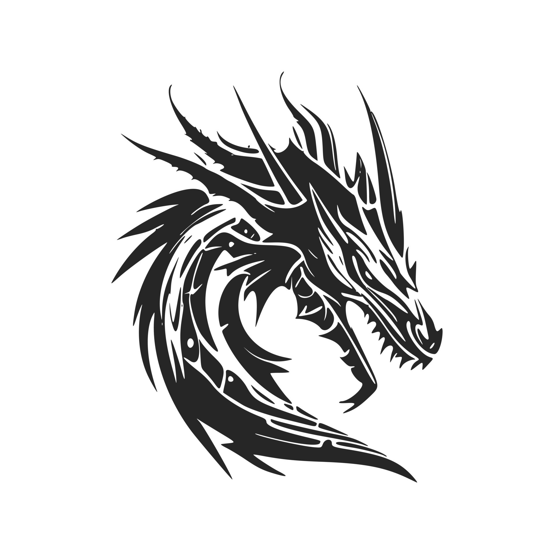 Enhance your business image with our black and white, modern dragon head logo. 18841311 Vector