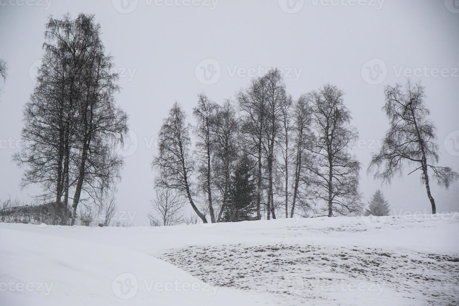 winter landscape in Austrian Alps photo