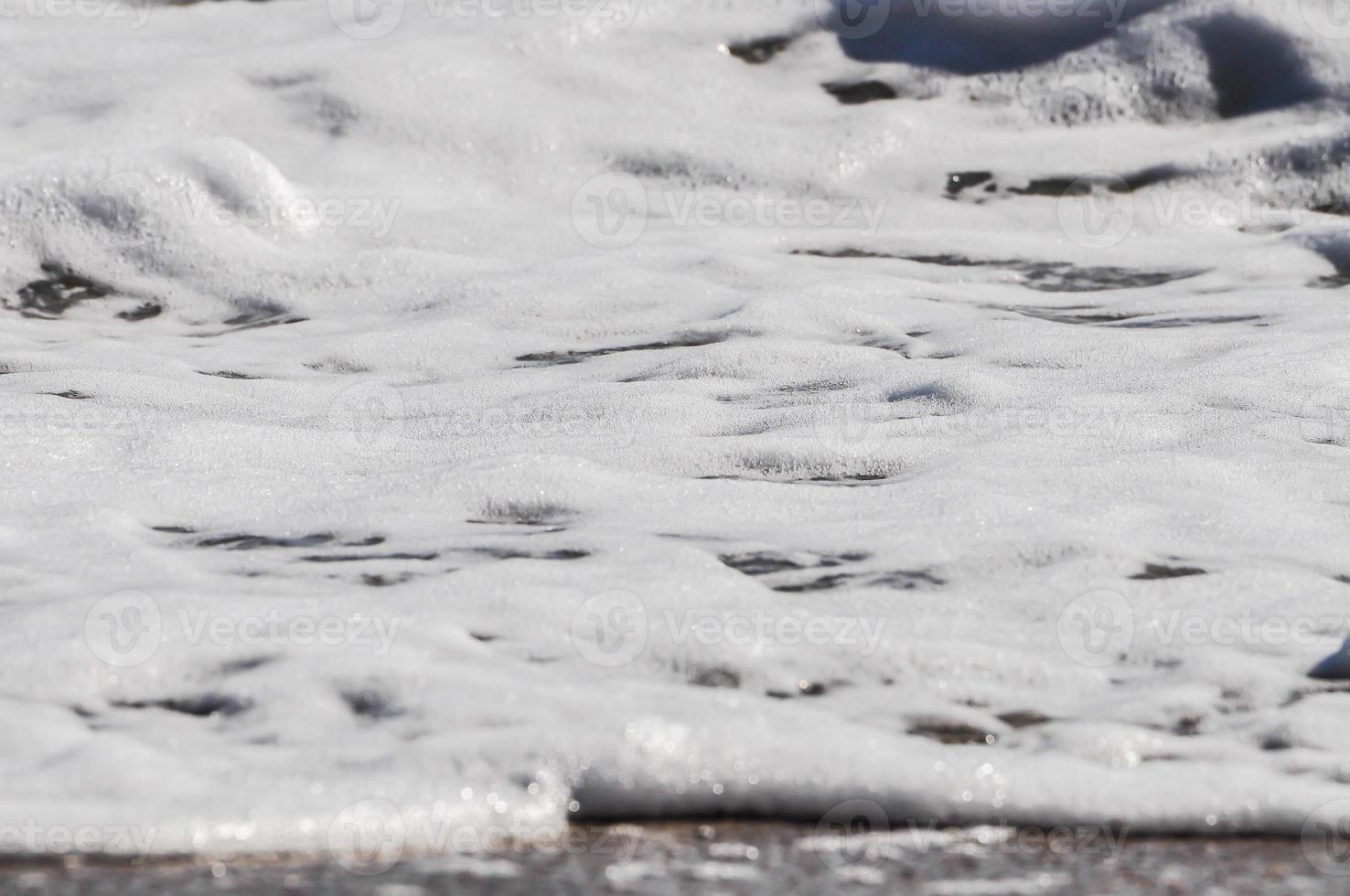 sea foam. splash water photo