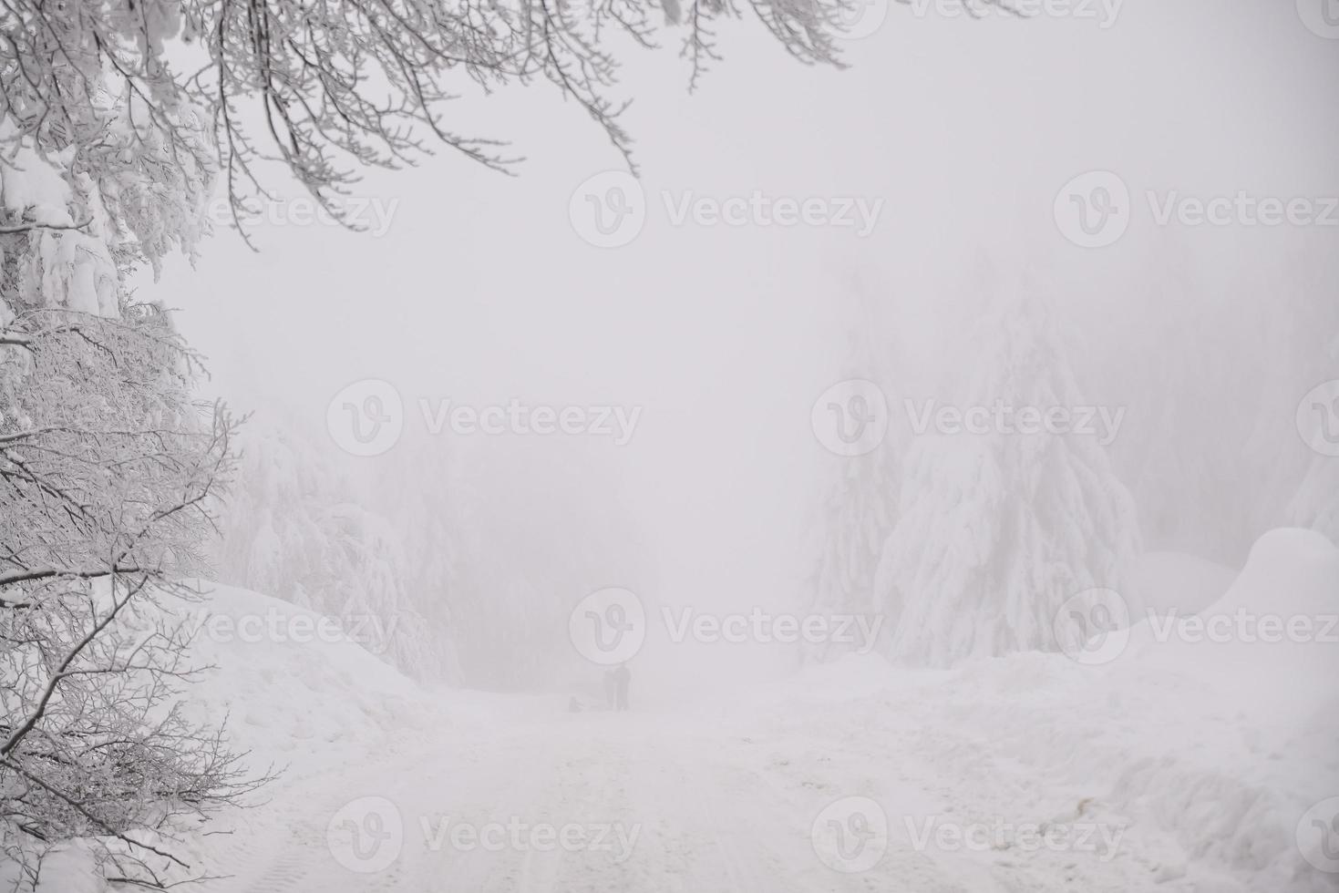 mountain forest landscape on a foggy winter day photo