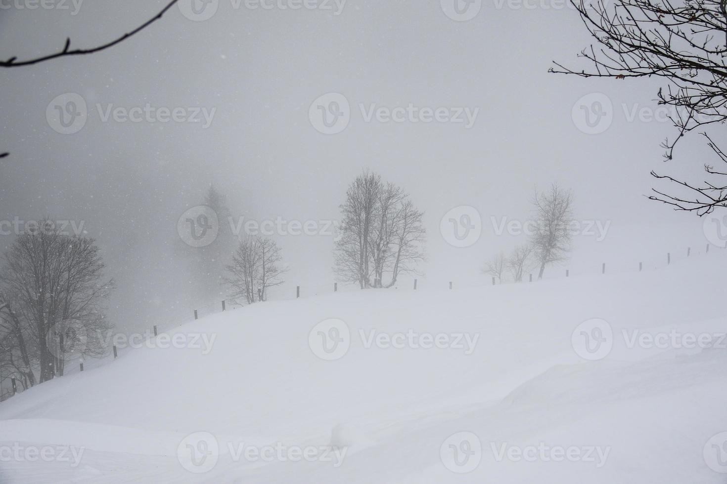 winter landscape in Austrian Alps photo