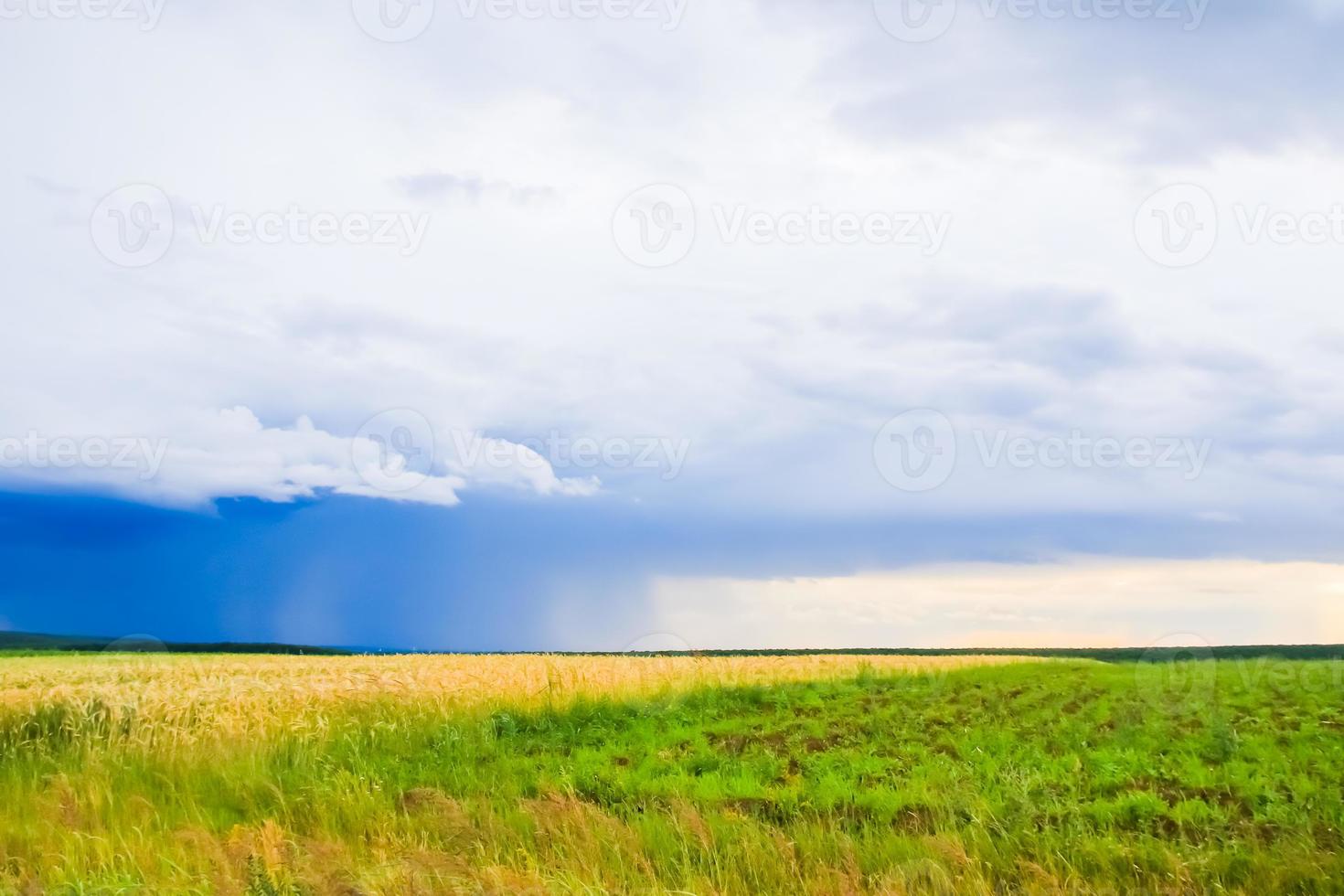 paisaje de campo verde con cielo azul y nubes tormentosas. foto