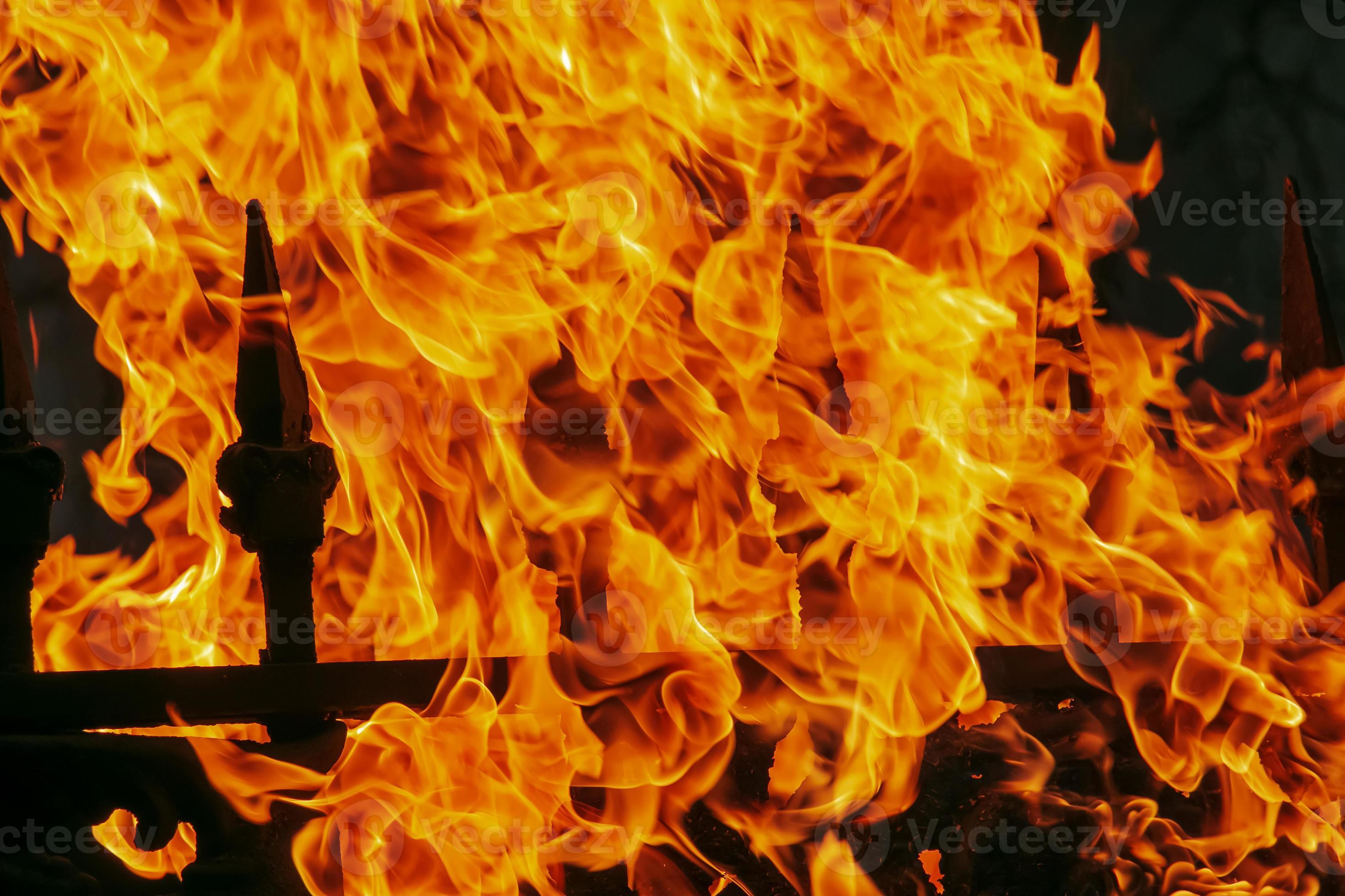 Bright fire on the fence. Clubs of orange fire burn everything. Fire