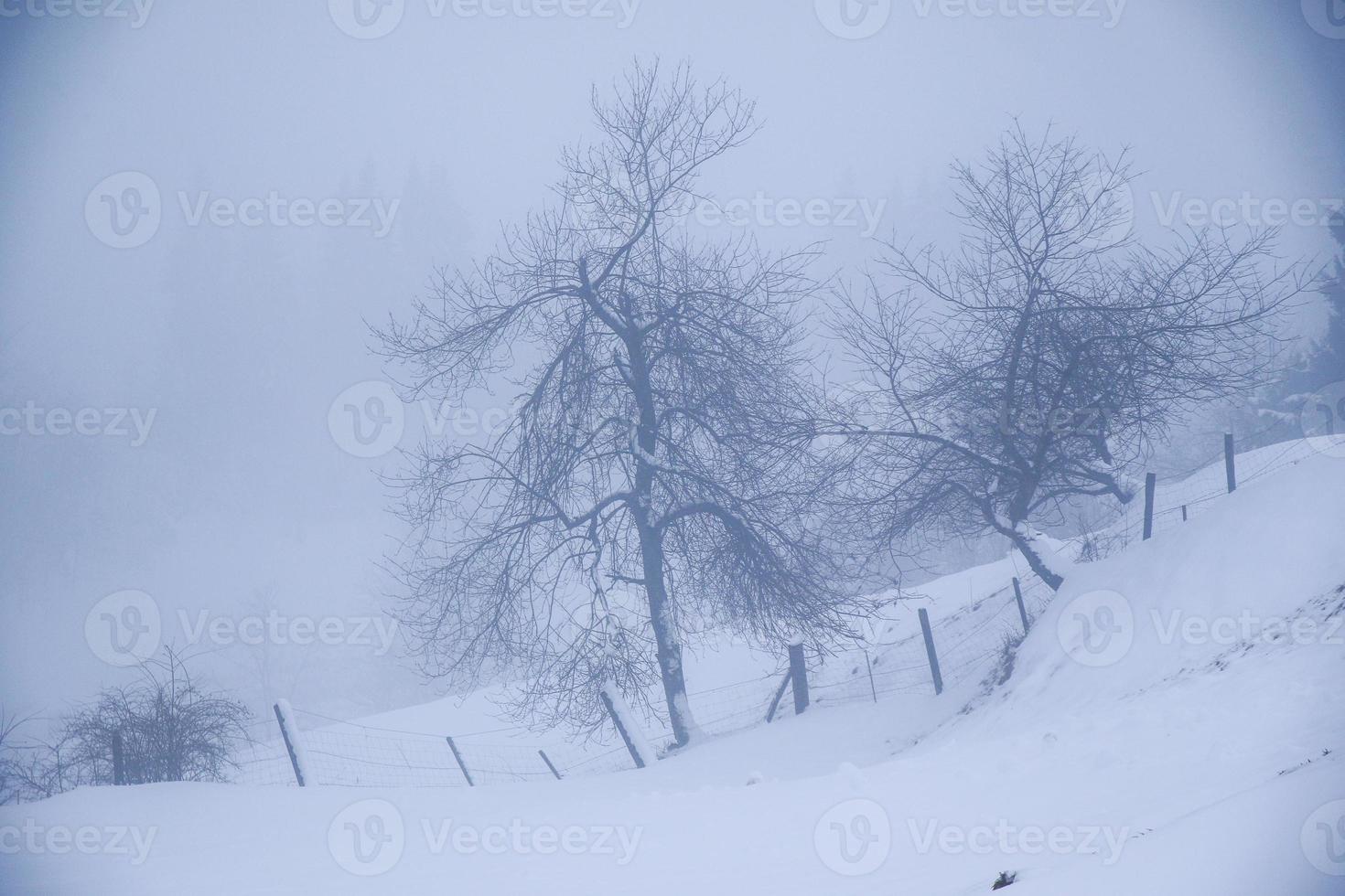 winter landscape in Austrian Alps photo