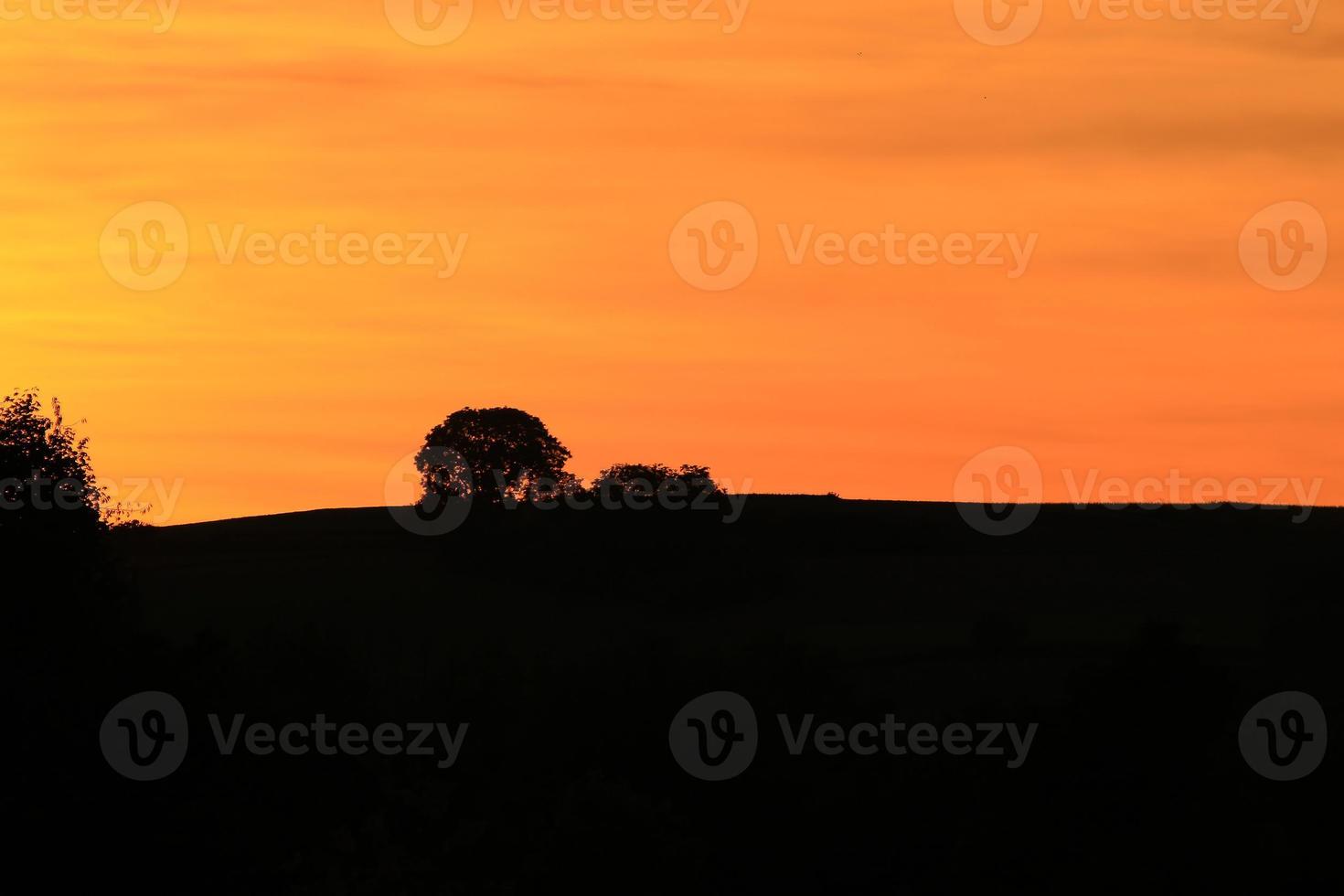 sunset landscape with tree silhouette photo