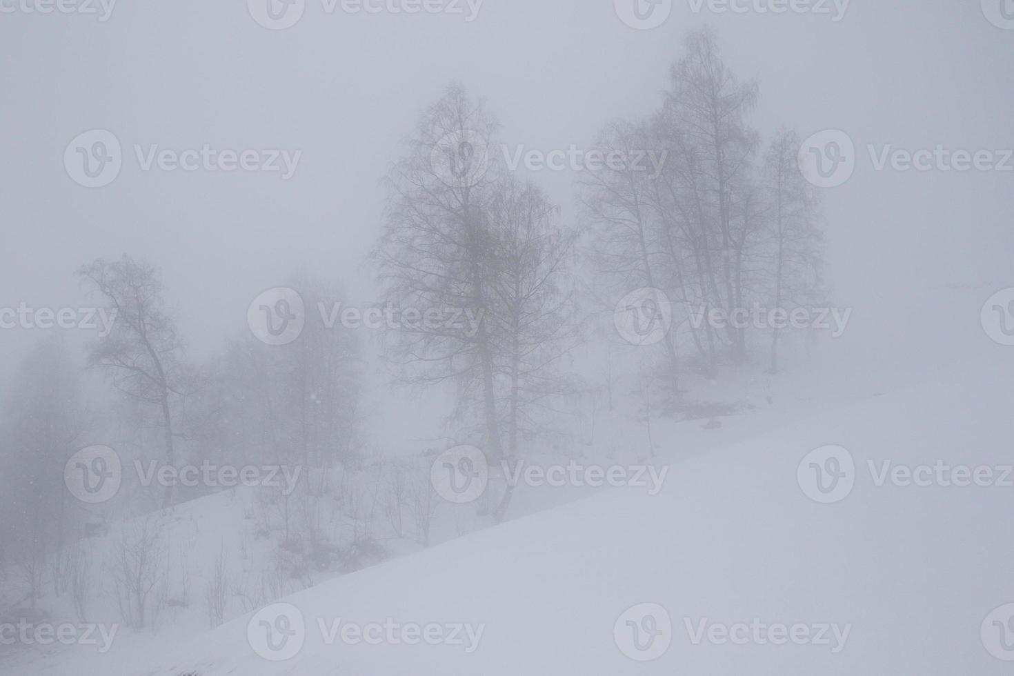 winter landscape in Austrian Alps photo