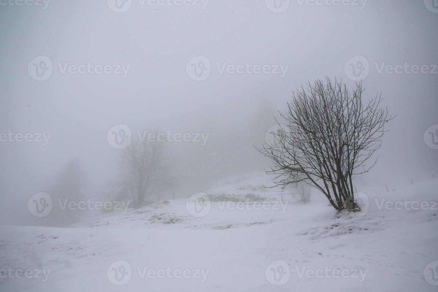 paisaje invernal en los alpes austríacos foto