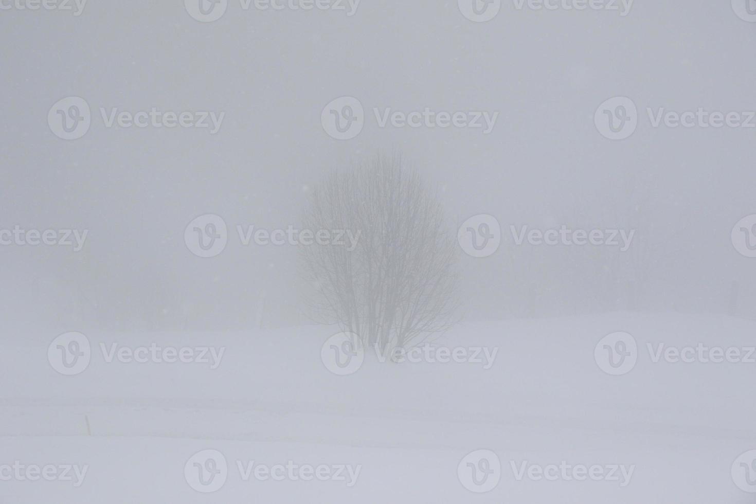 winter landscape in Austrian Alps photo