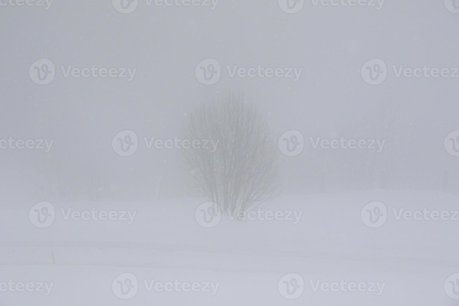 paisaje invernal en los alpes austríacos foto