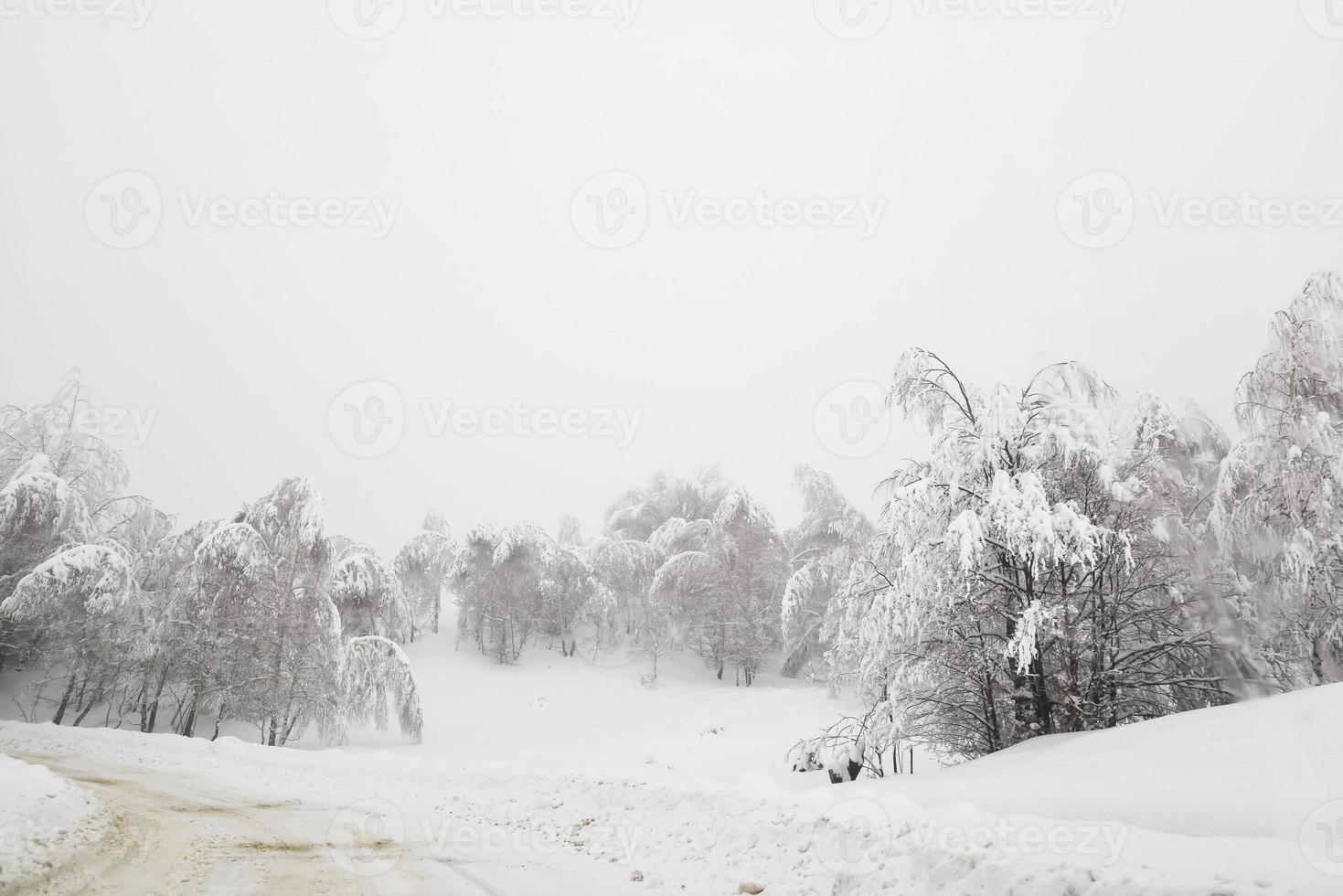 Winter snowy road in mountainous region after heavy snowfall in Romania photo