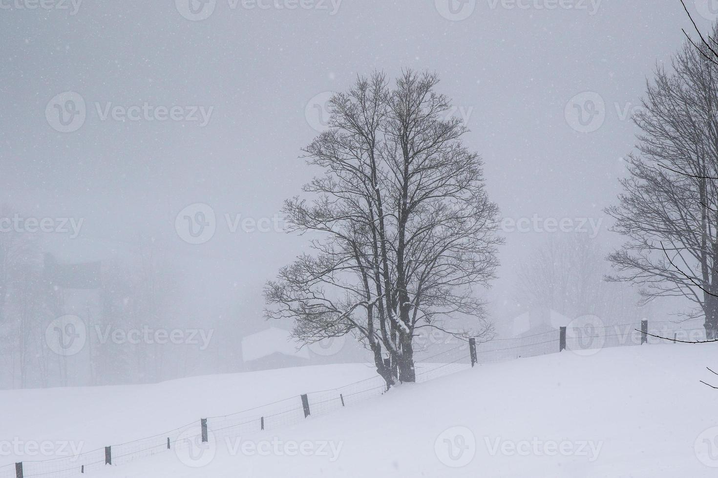 paisaje invernal en los alpes austríacos foto