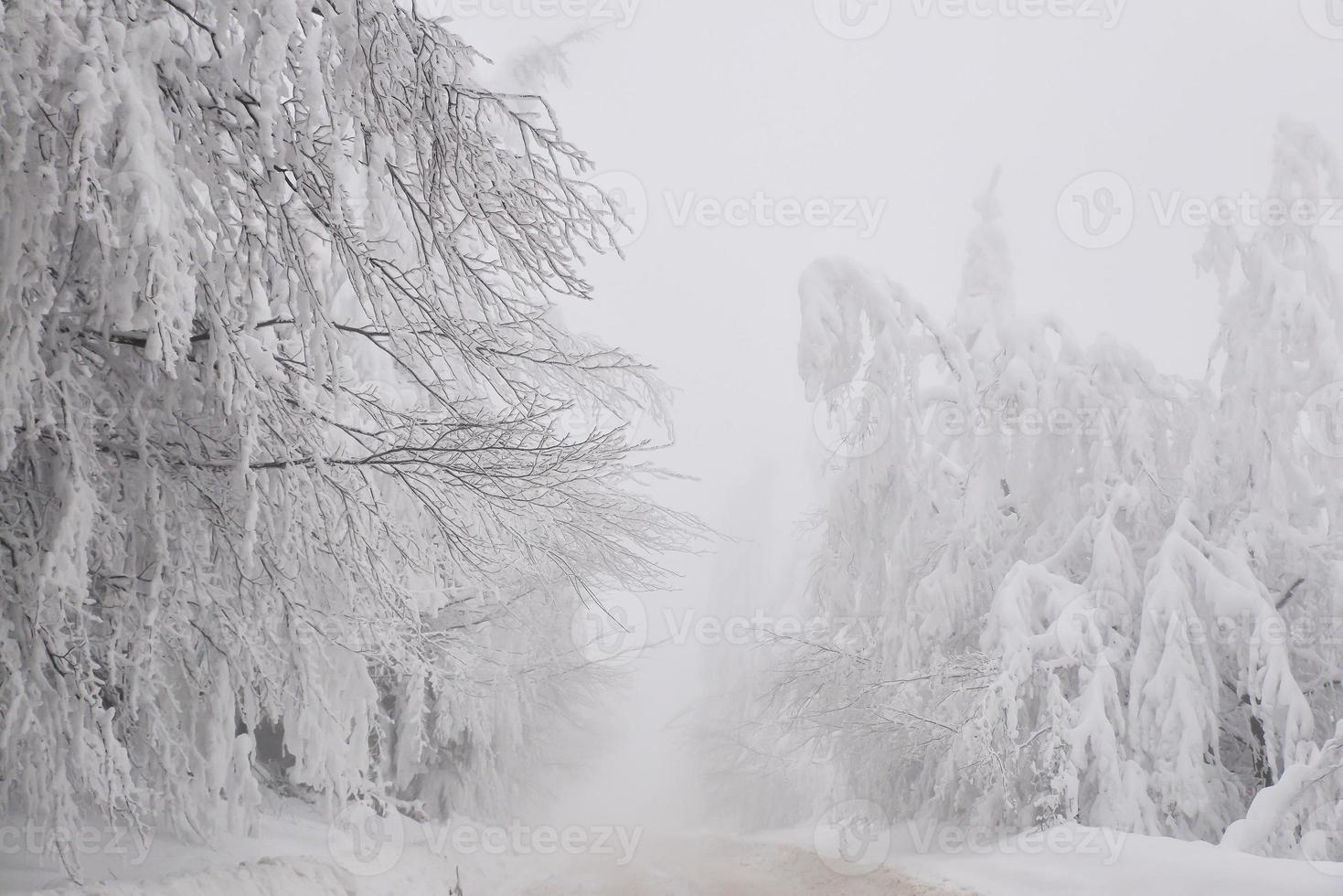 Winter snowy road in mountainous region after heavy snowfall in Romania photo