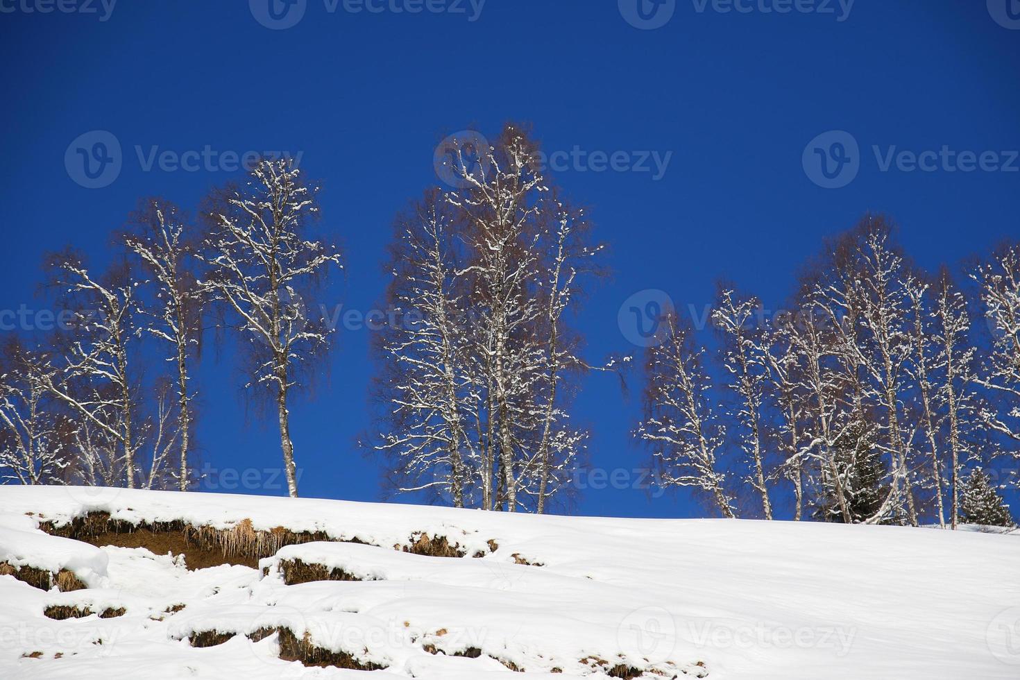 Winter landscape in Austrian Alps photo