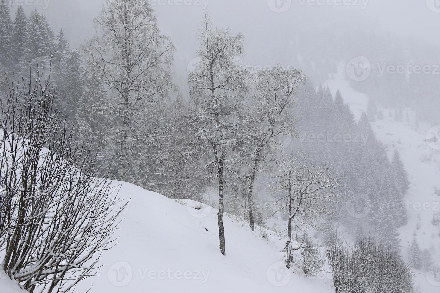 paisaje invernal en los alpes austríacos foto