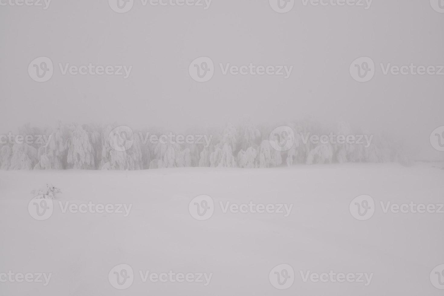 Winter snowy road in mountainous region after heavy snowfall in Romania photo