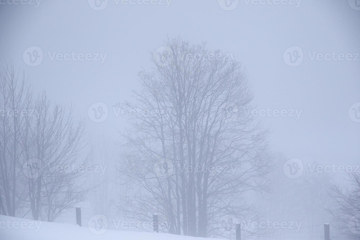 paisaje invernal en los alpes austríacos foto