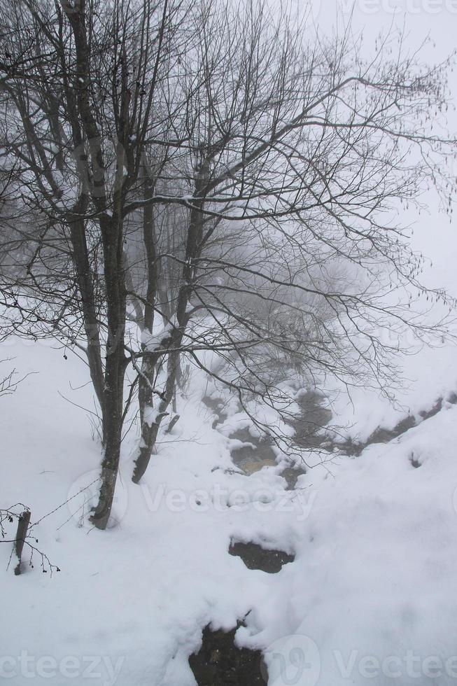 winter landscape in Austrian Alps photo