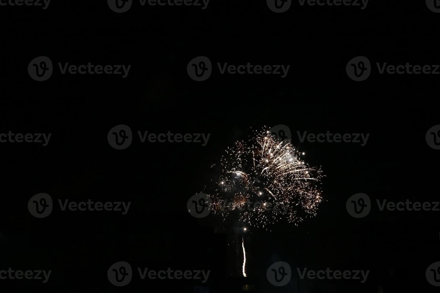 Colorful fireworks on the black sky background photo