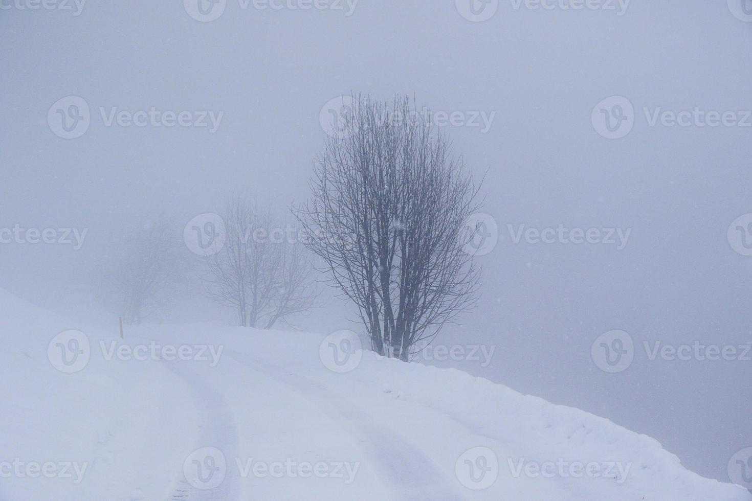 paisaje invernal en los alpes austríacos foto