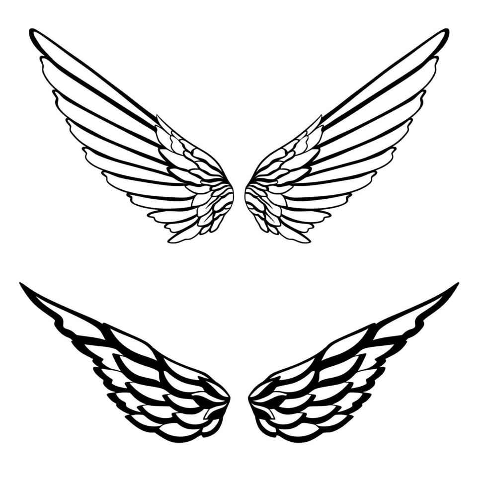 Wing art illustration vector