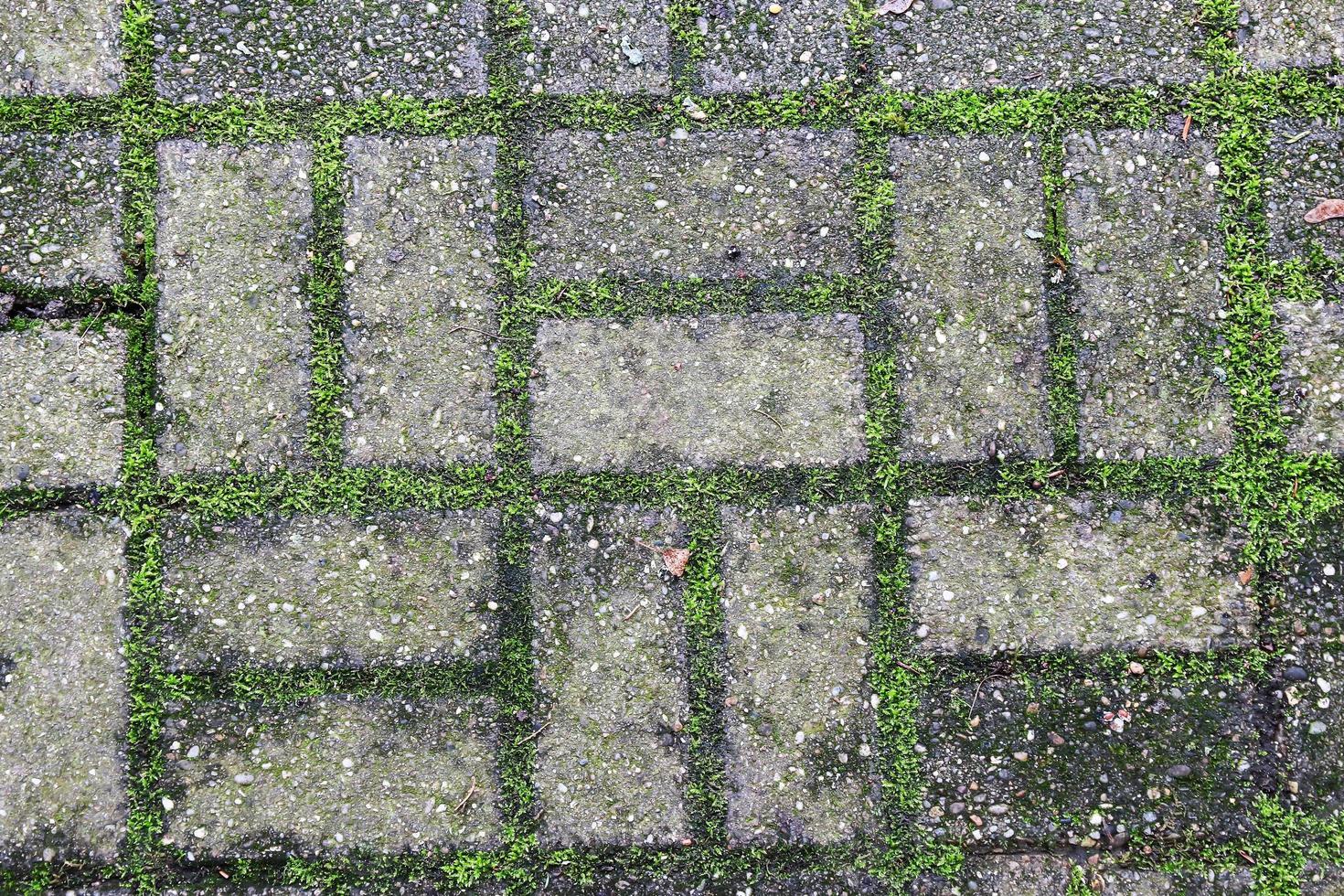 Cobblestone pavement texture. Abstract background for design photo