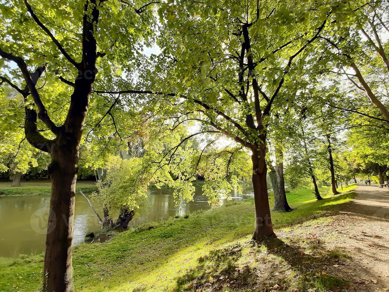 caminando en un hermoso día de primavera en el parque foto