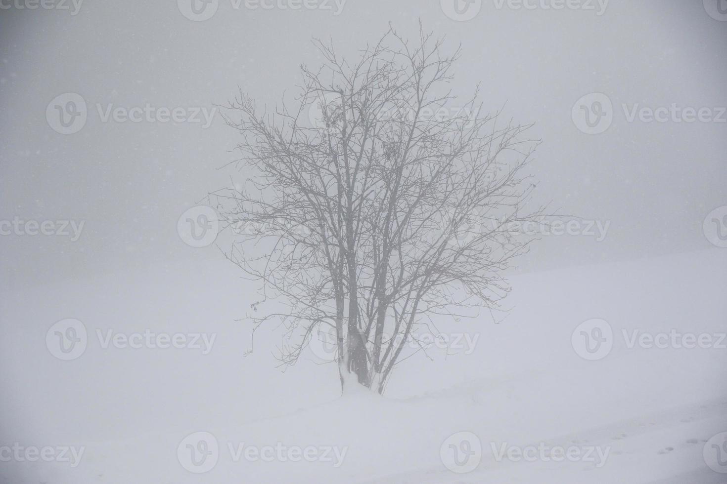 winter landscape in Austrian Alps photo