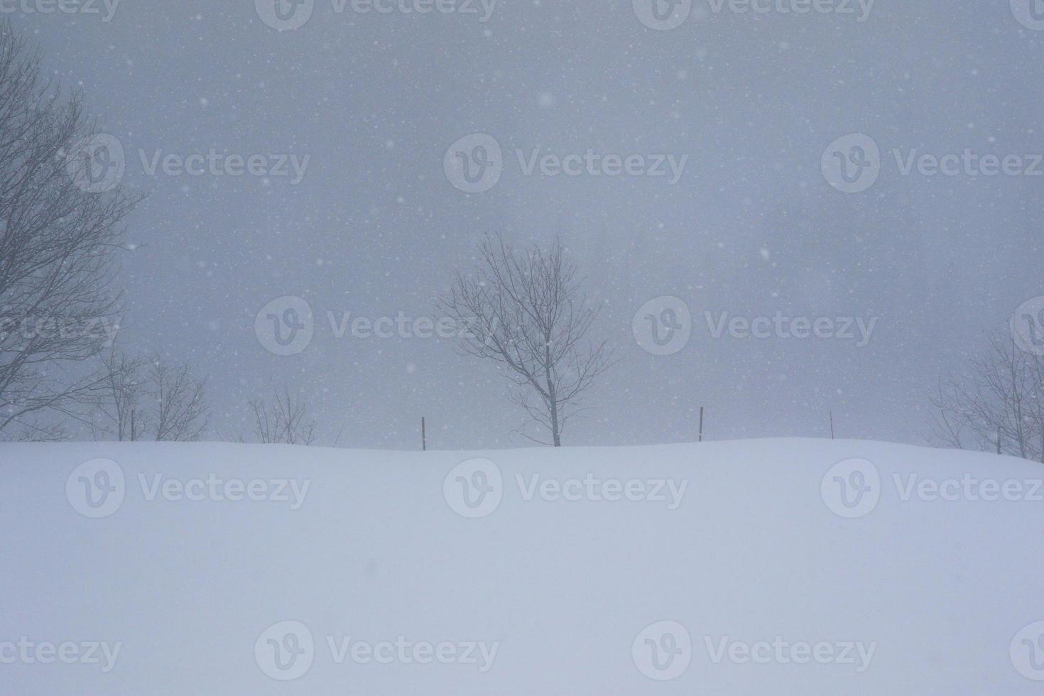 winter landscape in Austrian Alps photo