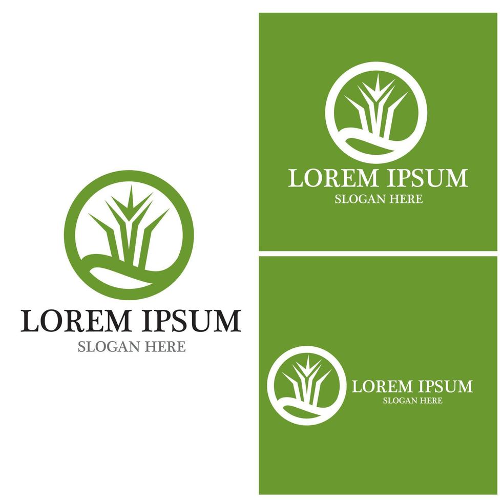 Agriculture icon and symbol vector template